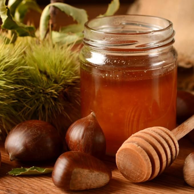 Balim Chestnut Honey 625 Gram [ 22 oz ] x 5 Pieces
