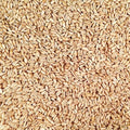 Grain Place Foods | Toasted Oat Groats | Organic Non-GMO | Kosher | 25 lb Bag