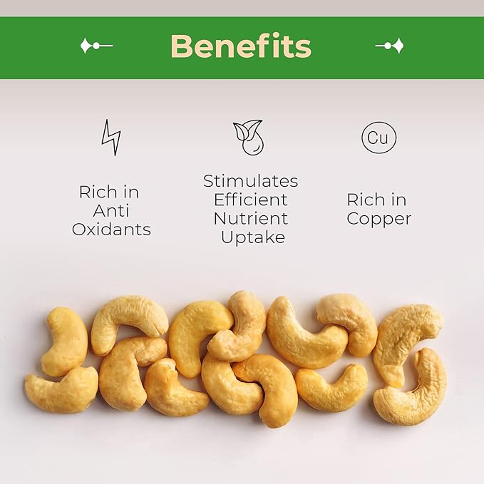 Sincerely Nuts – Whole Cashews - Roasted and Unsalted | High in Protein Everyday Healthy Snack - Rich in Nutrients |Vegan Keto &amp Kosher | Gourmet Quality Vegan Cashew - 2 (LB). Bag