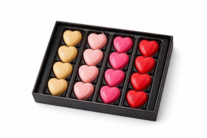 OMNIYA Delicacy - Luxury Chocolate Heart Box - 16 Pcs Heart Shaped Chocolate w/ 4 Flavors (Raspberry Coffee Pistachio &amp Chocolate) Premium Gourmet Creme Filled Chocolate for Special Occasions