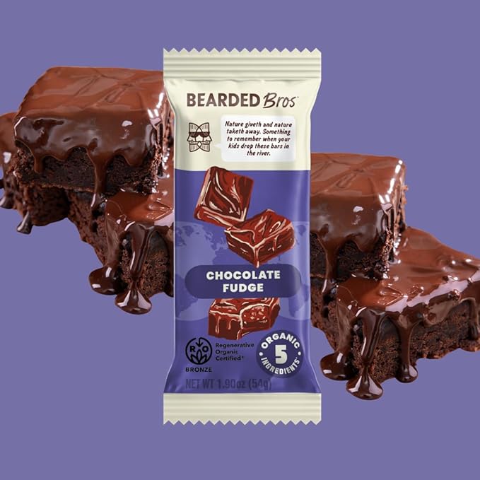 Bearded Brothers Organic Vegan Energy Bars - Gluten &amp Soy Free Paleo Whole 30 | Non GMO Low Glycemic High Protein Fiber (10 Pack Chocolate Fudge)