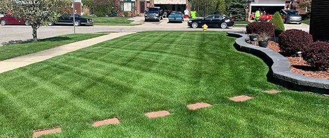 Lesco All-Pro Transition Tall Fescue Grass Seed Blend (50 lbs) – Drought-Tolerant Heat &amp Shade Resistant Insect-Resistant Lawn Seed for Durable Turf
