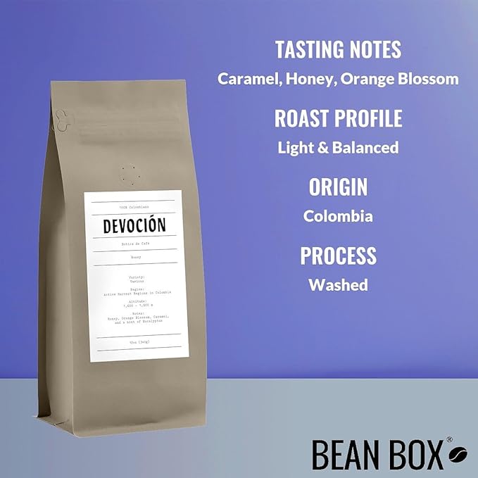 Bean Box Sampler - Roasted by Devocion 3-Pack Whole Bean Coffee Gourmet Coffee