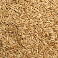 Jojo's Certified Organic Non-GMO Whole Uncut Hulled Oat Groats 5 lbs Bulk Food Grains Good Source of Fiber 100% Product of USA