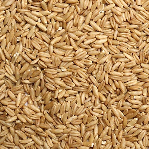 Jojo's Certified Organic Non-GMO Whole Uncut Hulled Oat Groats 5 lbs Bulk Food Grains Good Source of Fiber 100% Product of USA