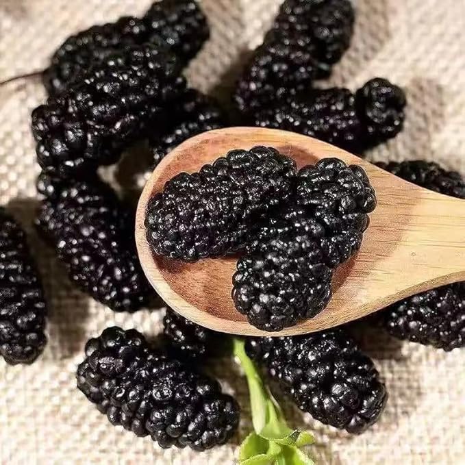 Zercumm Dry Mulberry 250G Mulberry Fruit Dry Mulberry Wild Super Soaking Water