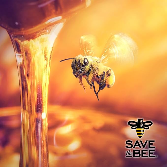 Glorybee Raw Pacific Northwest Blackberry Blossom Honey 100% US Grade A Honey 11.67 lb Bulk Pail