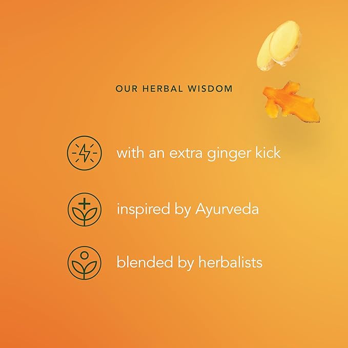 Pukka Three Ginger Organic Herbal Tea Digestion-Aiding Infusion With Ginger Turmeric and Galangal Tea Gift Set Ideal After Meals Caffeine Free 80 Total Bags (20ct - Pack of 4)