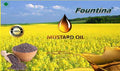 FOUNTINA MUSTARD OIL 2L