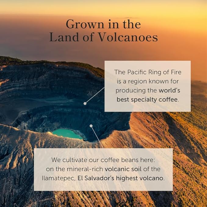 Bean of Fire El Salvador Pacamara Honey Ground Coffee – Medium Roast Single Origin Specialty Creamy &amp Nutty Cup (16 oz)