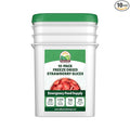 Valley Food Storage Freeze Dried Strawberries | Emergency Food Supply 25 Year Shelf Life | Survival Food Camping Snacks &amp Long Term Prepper Storage | Real Fruit Packaged in USA (10 Bags + Bucke