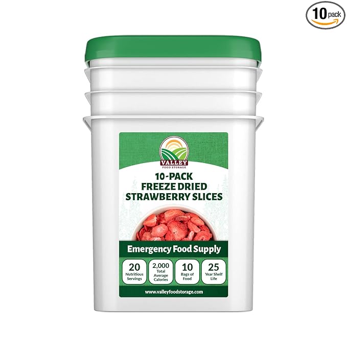 Valley Food Storage Freeze Dried Strawberries | Emergency Food Supply 25 Year Shelf Life | Survival Food Camping Snacks &amp Long Term Prepper Storage | Real Fruit Packaged in USA (10 Bags + Bucke