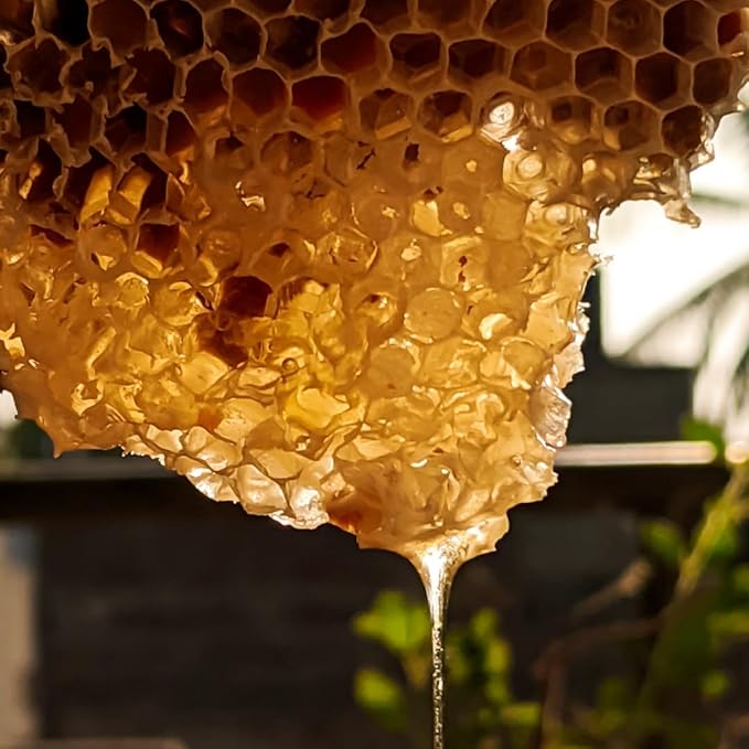 All natural Raw Honeycomb 100% Honey Pure Turkish Raw Honey Comb -Raw Edible - Honey With Honeycomb 1.5 Kg. (52.9 Oz)