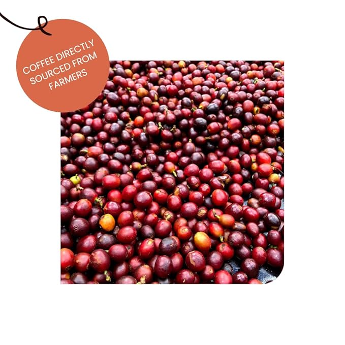 Harazi Coffee - Ancient Typica Whole Beans &amp Ground Coffee From Yemen - Roasted At The Source (Coarse 380 Grams)