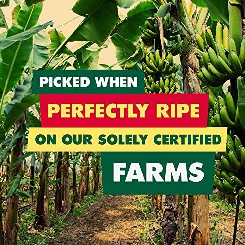 SOLELY - Organic Dried Mango Strips with Chili and Salt (2.8 oz Resealable Bags Pack of 4) Real Fresh Fruit - Healthy Snacks for Adults &amp Kids - Non GMO Vegan Snacks Shelf Stable - 4 Bags (11.2