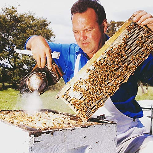 Tasmanian Honey Company Tasmanian | Christmas Bush | 350g | Unfiltered | Raw | Unheated | Hand-Crafted | Product of Australia | Iconic Metal Can |