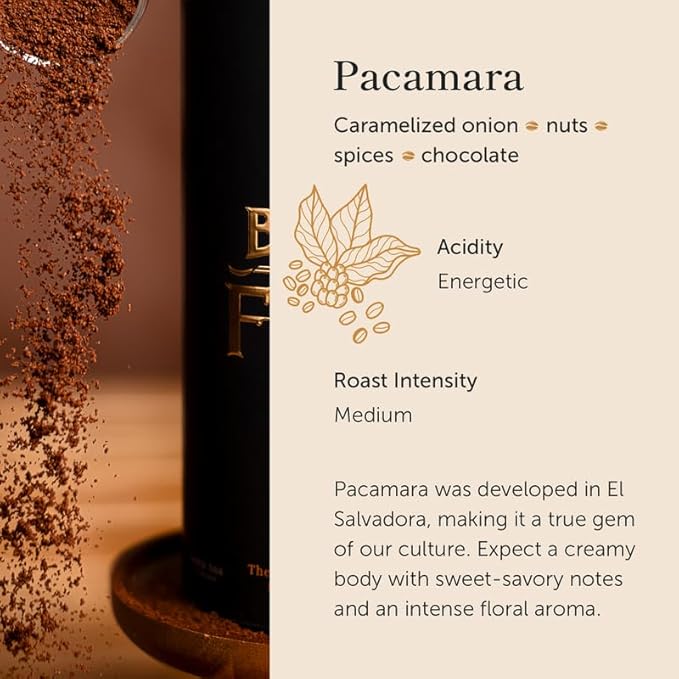 Bean of Fire El Salvador Pacamara Honey Ground Coffee – Medium Roast Single Origin Specialty Creamy &amp Nutty Cup (16 oz)