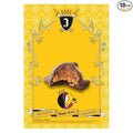 Juana La Loca Bocaditos Dark Chocolate Salchichón Bites – Uruguayan Chocolate Candy Filled with Dulce de Leche 40 g / 1.41 Oz Each (Box of 10)