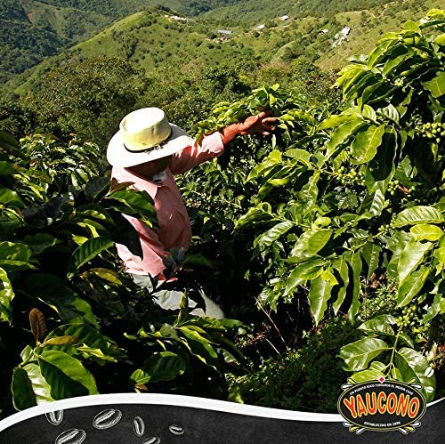 Yaucono Ground Coffee Bagged Arabica Medium Roast 14 Ounce (Pack of 2)