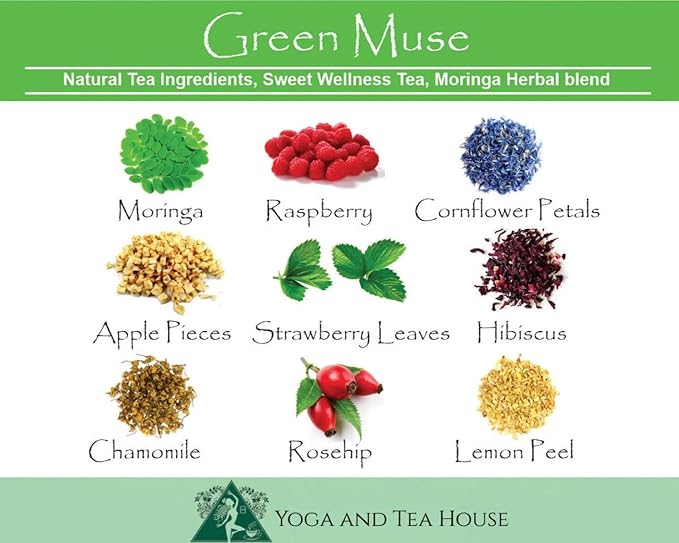 Moringa Tea Herbal Blend Loose Leaf Tea Full Body Cleanse Green Muse Sweet Wellness Tea 15 Organic Tea Bags Yoga and Tea House