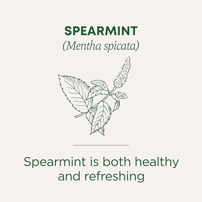 Traditional Medicinals Tea Organic Spearmint Supports Everyday Wellness Healthy &amp Refreshing 48 Tea Bags (3 Pack)