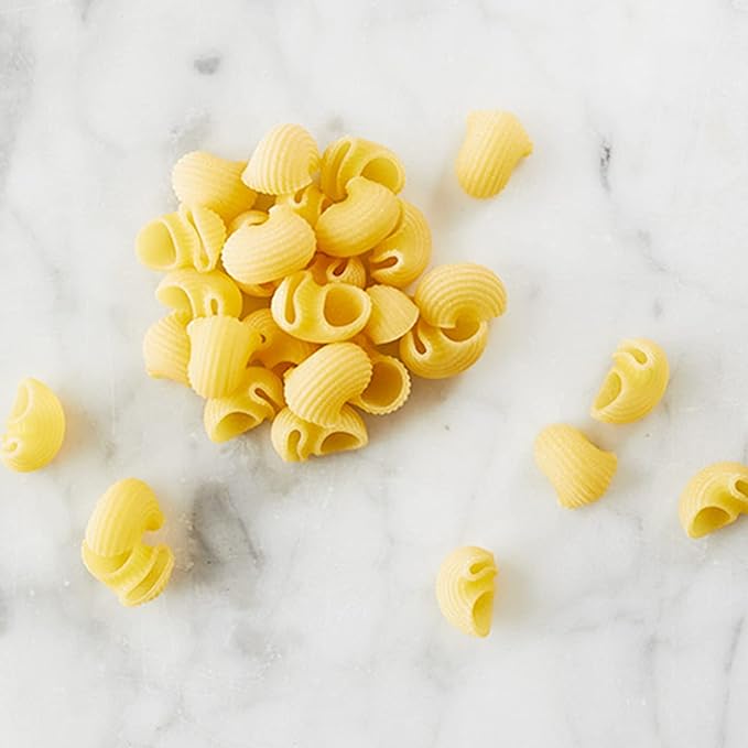 Montebello Conchiglie 1 lb (2-Pack)