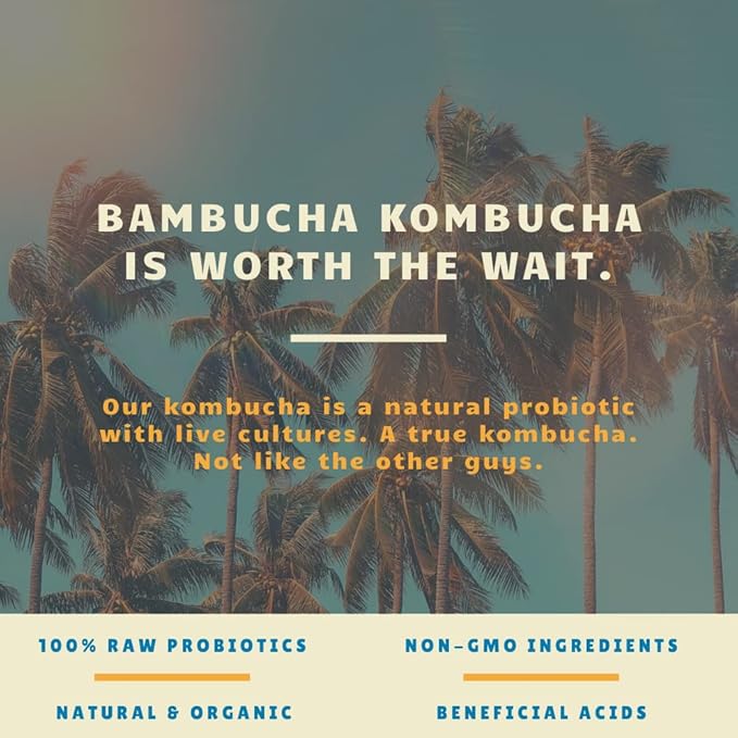 Bambucha Kombucha Thai Ginger 12 Pack Case | Chef Crafted Flavor 100% Raw Kombucha Tea Drink | Organic Vegan Gluten Free Non GMO Probiotic (12 Fl Oz Cans)