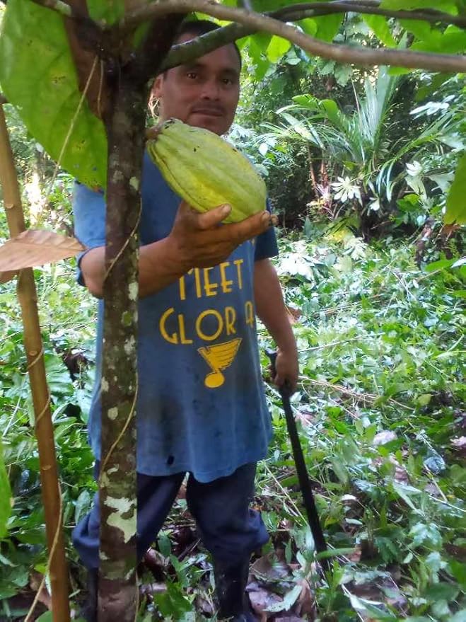 Jungle Cat Cacao Belizean Cacao Tea 10oz | Cacao Superfood - Theobromine - Gentle Stimulant - Magnesium - B Vitamins - Fantastic Strong Dark Chocolate Taste - Leading Natural Source Iron - 100% Organi