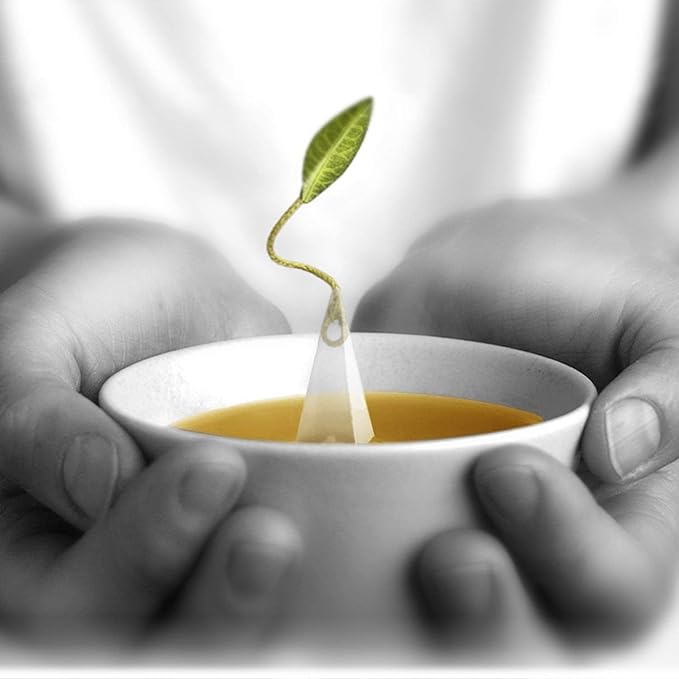 Tea Forte Sencha Premium Caffeinated Green Tea Blend Event Box Bulk Pack 40 Count 10 per tray Individually Wrapped Handcrafted Pyramid Infusers