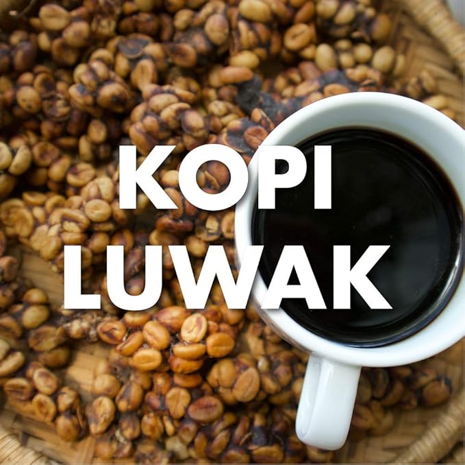 Kopi Luwak Coffee Wild Gathered 100% Pure Whole Bean 16 Ounces
