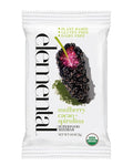 Elemental Superfood Seedbars Mulberry Cacao + Spirulina 1.8 Ounce - 12 Pack 100% Certified Organic Non-GMO Verified Gluten Free Dairy Free Plant Based