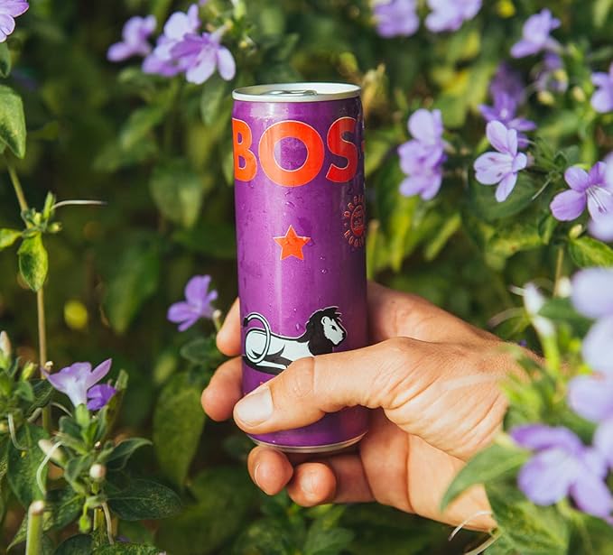 BOS Rooibos Iced Tea Berry | 24x (6x 10.1 oz Cans) | Organic Caffeine Free Naturally Sweet Antioxidant-Rich Herbal Red Rooibos Tea | From South Africa
