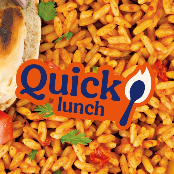 Ben's Original Flavored Ready Rice Spanish Style Microwave Rice for an Easy Lunch Suitable for Vegetarians Family Size Multipack - 17.3 oz (Pack of 6)
