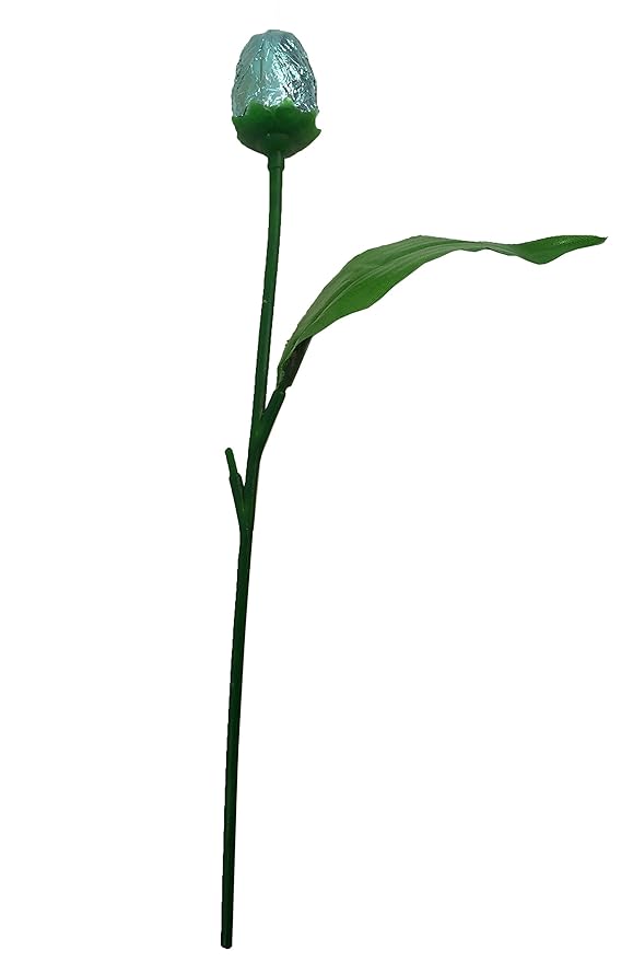 One Dozen Belgian Milk Chocolate Tulip Flowers Bouquet (2.11 Oz.)