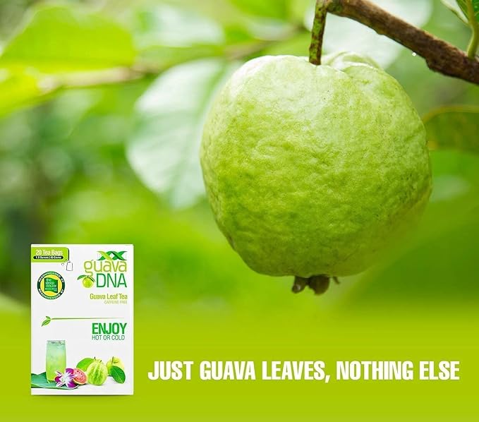 GuavaDNA Guava Leaf Tea 20 Individually Wrapped Teabags by MATCHA DNA | 100% Pure Guava Leaves Nothing Else Added (20 Teabags) (Pack of 2)