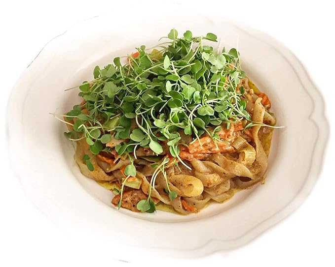 Miracle Noodle Ready to Eat Fettuccine Pasta 7 Oz (Pack of 6) Plant Based Shirataki Konjac Noodles 5 Calories 1g Net Carbs Per Serving Keto Gluten-Free