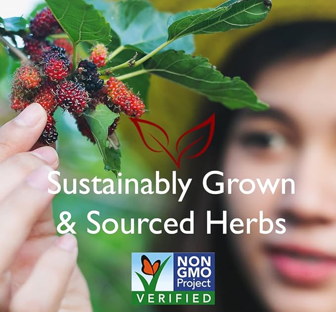 Bravo Tea Hair Regrowth Herbal Tea Caffeine Free 20 Tea Bags 6 Count