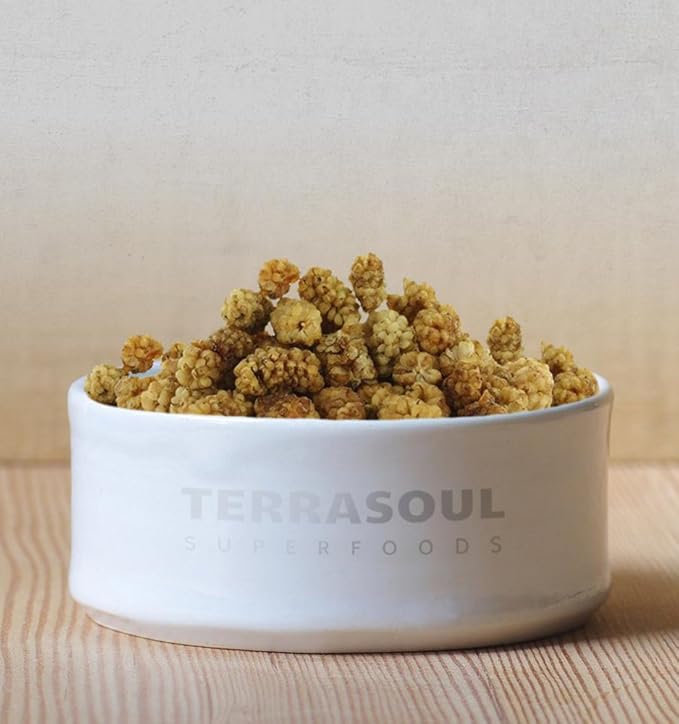 Terrasoul Superfoods Organic Sun-dried White Mulberries 2 Lbs (Pack of 2) Sweet Superfood Snacking Smoothie Booster and Nutrient-Packed Yogurt Topping