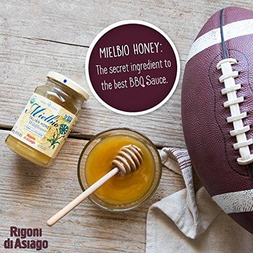 Rigoni di Asiago Mielbio Organic Italian Raw and Creamy Honey Wildflower 6 Count