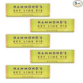 Hammond's Candies Gourmet Chocolate Candy Bars – Key Lime Pie | Sweet White Chocolate with a Citrus Lime Twist Citrus Chocolate Bar Certified Kosher Handcrafted in the USA | Pack of 5