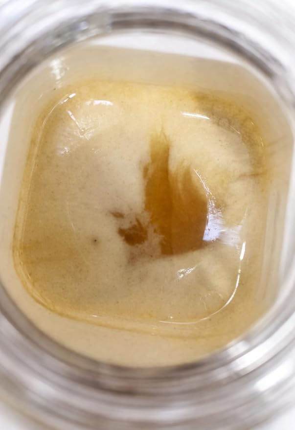 Raw Royal Honey (Authentic Yemen Douani Sidr Honey) with reem honey in tap Gluten Free Non GMO 100% Natural Raw (500g / 17.6oz) عسل دوعاني ملكي طبيعي سدر مع طبقة ريم العسل المغذية