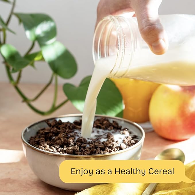 Lentil Telepathy Breakfast &amp Snack Variety Pack - Healthy Snacks for Adults and Kids Alternative Granola or Cereal Breakfast Low Calorie Dairy-Free Oil-Free - 1 Ounce Bags (Mix Pack of 32)
