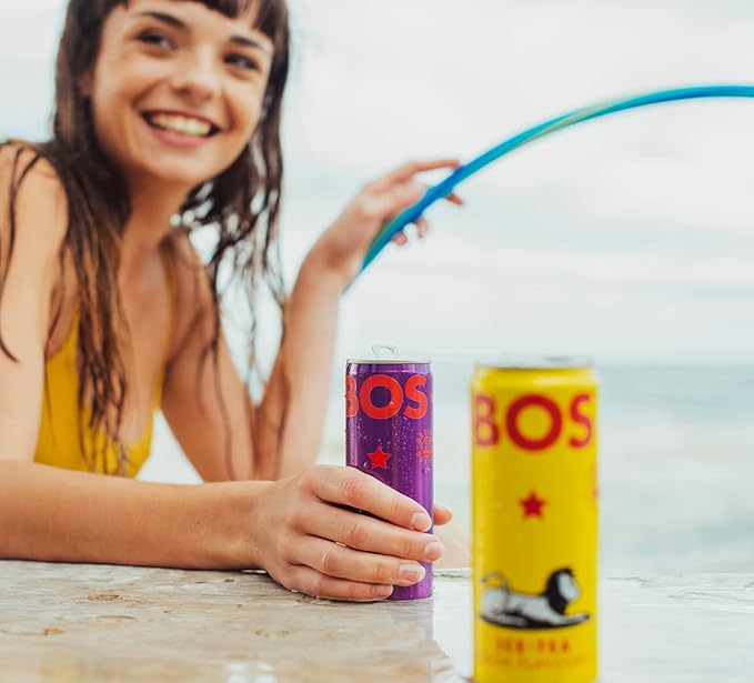 BOS Rooibos Iced Tea Berry | 24x (6x 10.1 oz Cans) | Organic Caffeine Free Naturally Sweet Antioxidant-Rich Herbal Red Rooibos Tea | From South Africa