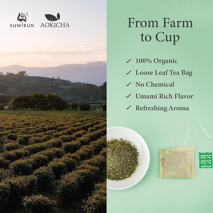 Suwirun Aoki Cha Organic Yabukita Japanese Green Tea 50 Bags – Smooth Umami-Rich &amp Refreshing – Eco-Friendly Unbleached Tea Bags for Hot &amp Cold Brew