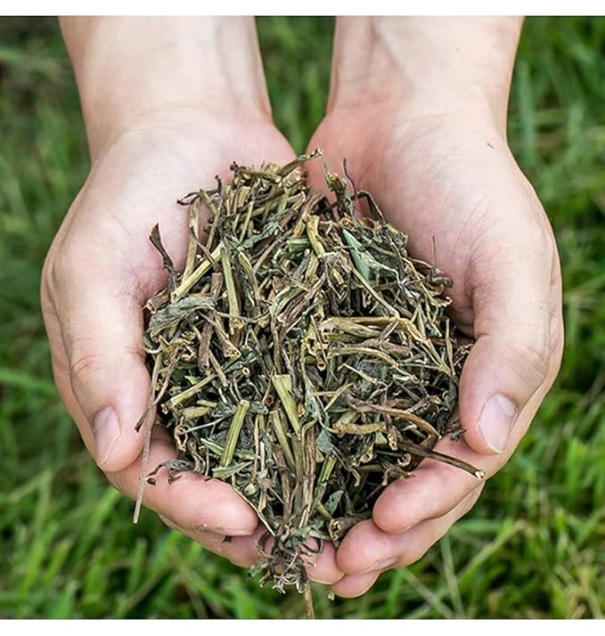 Organic Natural Pure Eclipta Prostrata(False Daisy) Tea Bag- 50 Tea Bags
