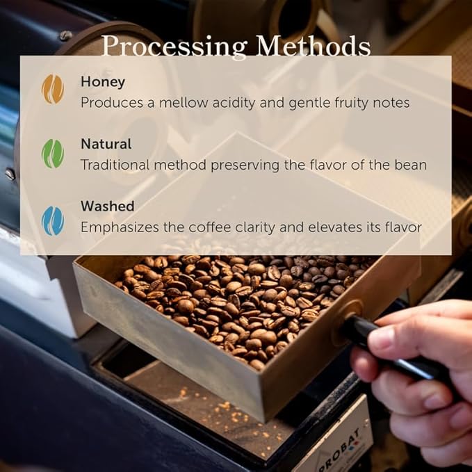 Bean of Fire El Salvador Pacamara Honey Ground Coffee – Medium Roast Single Origin Specialty Creamy &amp Nutty Cup (16 oz)