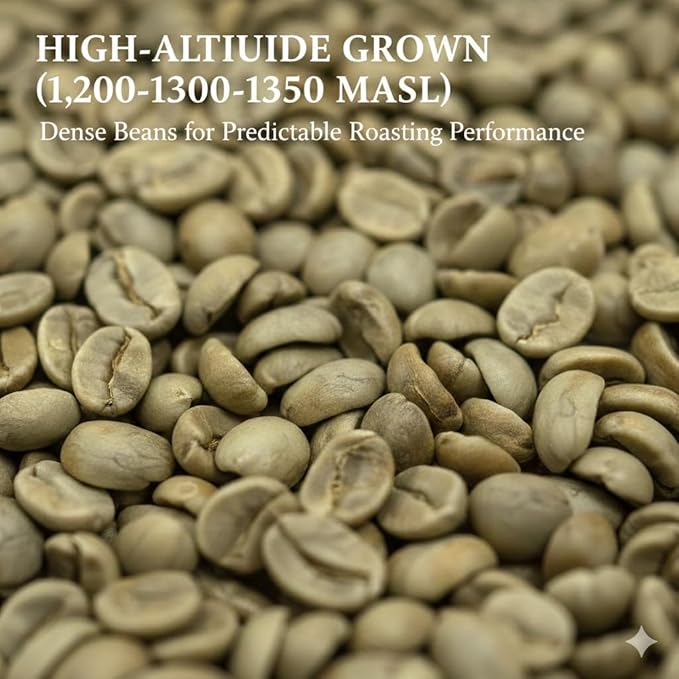 Current Crop Roasting Shop India Mysore Nuggets Green Coffee Beans – Unroasted Arabica for Home Roasting – Chikmagalur Single Origin Washed Process 5-Pound Bag