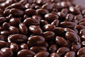 Gourmet Milk Chocolate Covered Almonds by Its Delish – 1 LB Bulk Bag – Kosher Dairy Chocolate Coated California Almonds