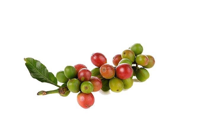 Miscela D'Oro Natura - Organic Fairtrade Espresso Beans 2.2 lbs