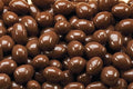 Bayside Candy Milk Chocolate Collection Sugar Free Milk Chocolate Almonds (8LBS)